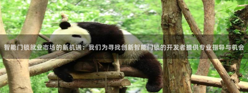 开丰娱乐平台注册地址：智能门锁就业市场的新机遇：我们为寻找创