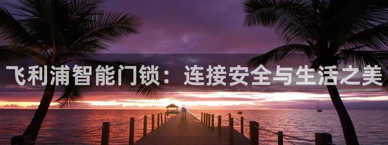 开丰娱乐官网登录平台：飞利浦智能门锁：连接安全与生活之美