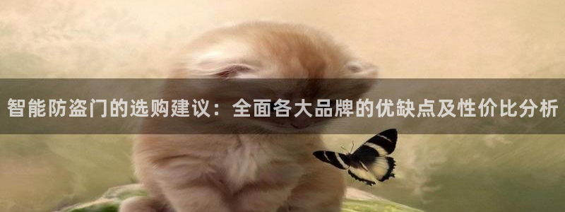 开丰娱乐左7O667：智能防盗门的选购建议：全面各大品牌的优