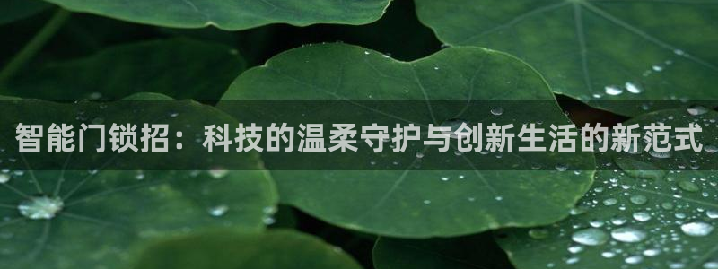 开丰娱乐登录平台：智能门锁招：科技的温柔守护与创新生活的新范