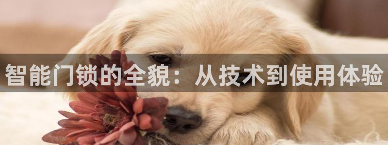开丰娱乐手机app：智能门锁的全貌：从技术到使用体验