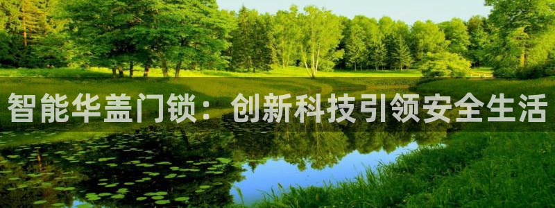 开丰娱乐右7O667：智能华盖门锁：创新科技引领安全生活