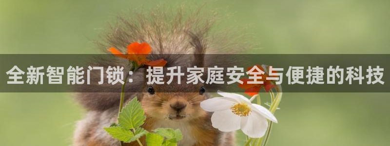 开丰娱乐登录地址入口：全新智能门锁：提升家庭安全与便捷的科技