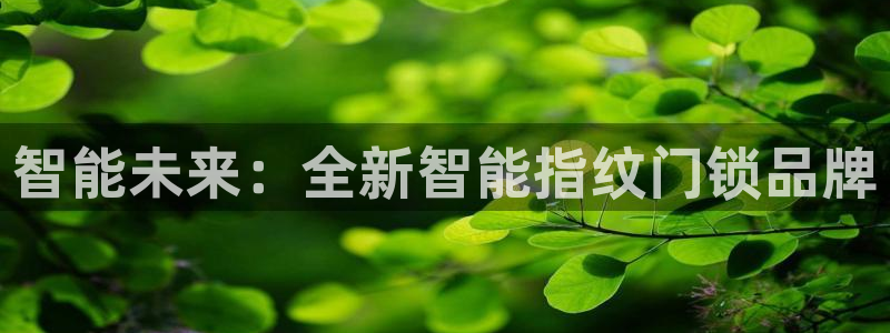 开丰娱乐体育平台：智能未来：全新智能指纹门锁品牌