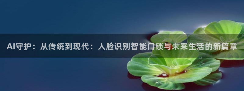 开丰娱乐不开了吗：AI守护：从传统到现代：人脸识别智能门锁与