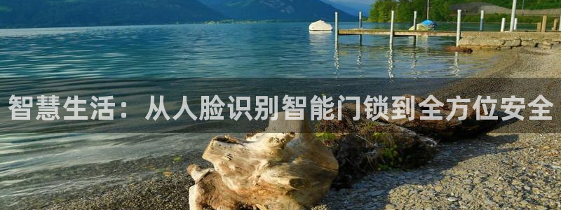 开丰娱乐怎么样：智慧生活：从人脸识别智能门锁到全方位安全