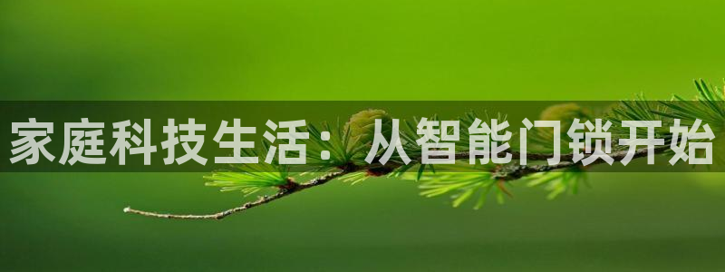 开丰娱乐官网平台网址：家庭科技生活：从智能门锁开始
