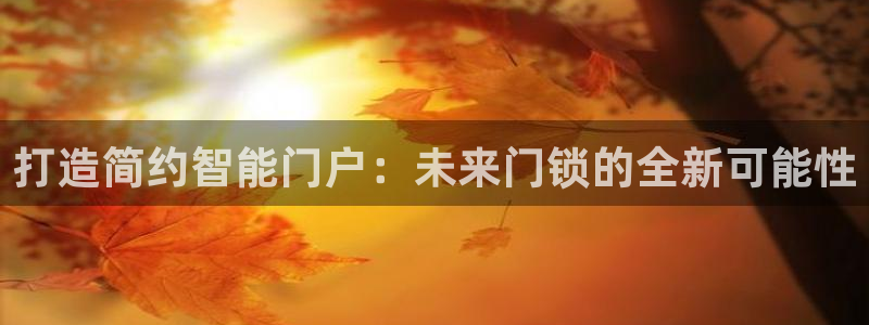 开丰娱乐除7O777：打造简约智能门户：未来门锁的全新可能性