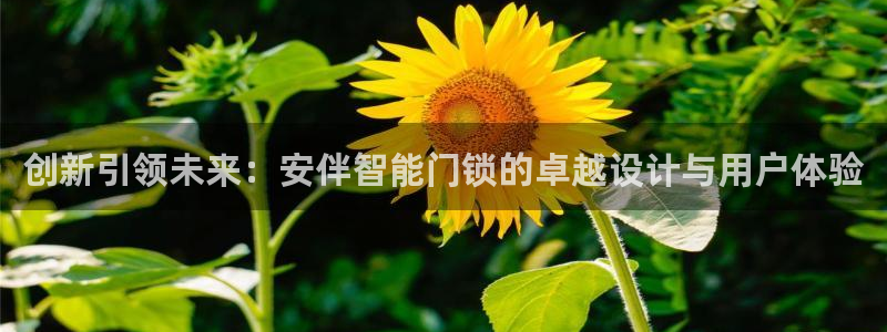开丰娱乐不开了吗：创新引领未来：安伴智能门锁的卓越设计与用户