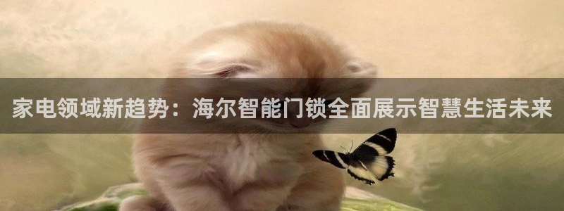 开丰娱乐会员中心：家电领域新趋势：海尔智能门锁全面展示智慧生