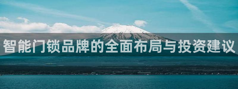 开丰娱乐登陆地址：智能门锁品牌的全面布局与投资建议