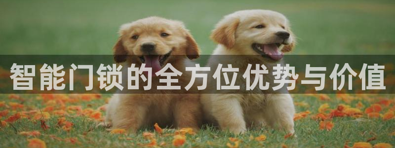 开丰娱乐天富娱乐：智能门锁的全方位优势与价值