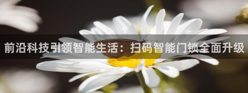 开丰娱乐怎么开转点：前沿科技引领智能生活：扫码智能门锁全面升