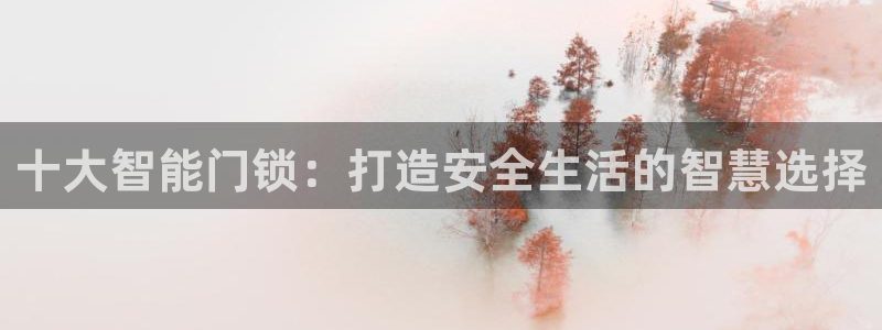 开丰娱乐登入地址查询：十大智能门锁：打造安全生活的智慧选择