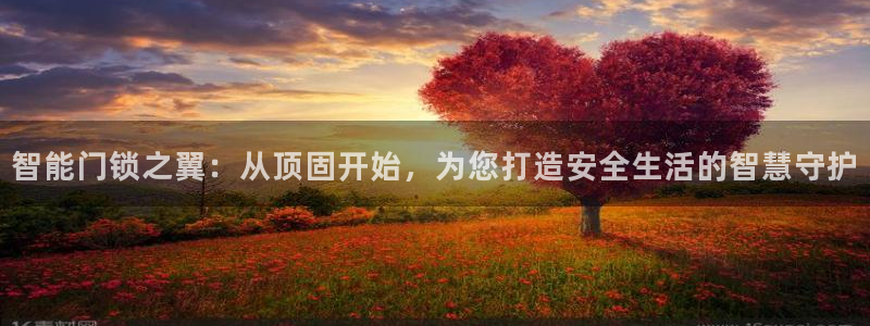 开丰娱乐更多平台：智能门锁之翼：从顶固开始，为您打造安全生活