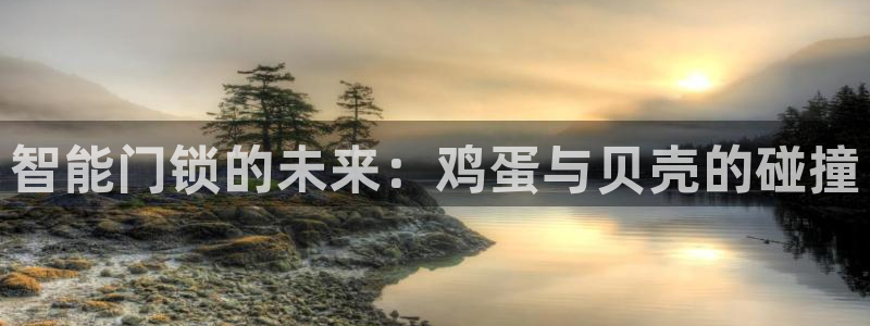 开丰娱乐登录地址入口：智能门锁的未来：鸡蛋与贝壳的碰撞