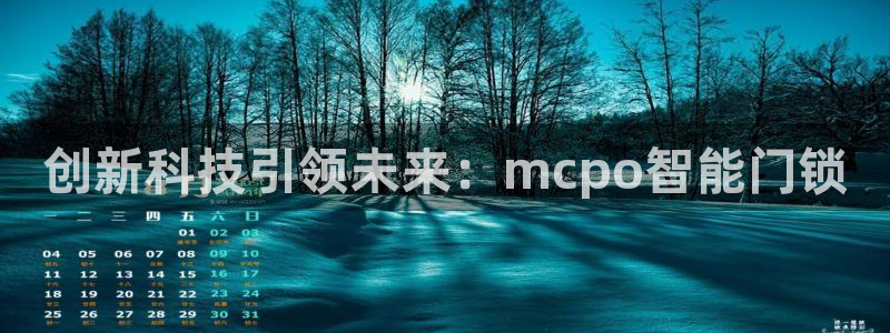 开丰娱乐官网：创新科技引领未来：mcpo智能门锁