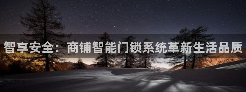 开丰娱乐趣 7O935：智享安全：商铺智能门锁系统革新生活品
