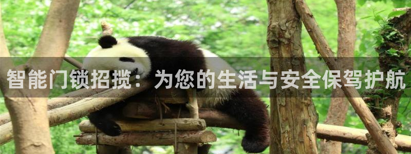 开丰娱乐注册登录不了：智能门锁招揽：为您的生活与安全保驾护航