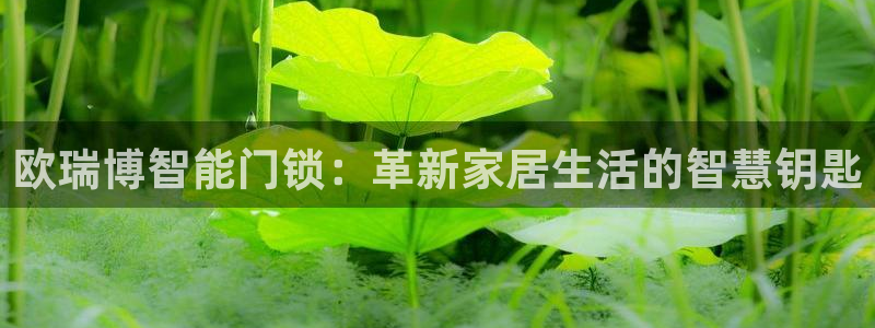 如何注册开丰娱乐账号：欧瑞博智能门锁：革新家居生活的智慧钥匙