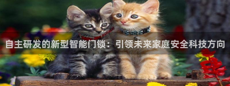 开丰娱乐登录平台：自主研发的新型智能门锁：引领未来家庭安全科