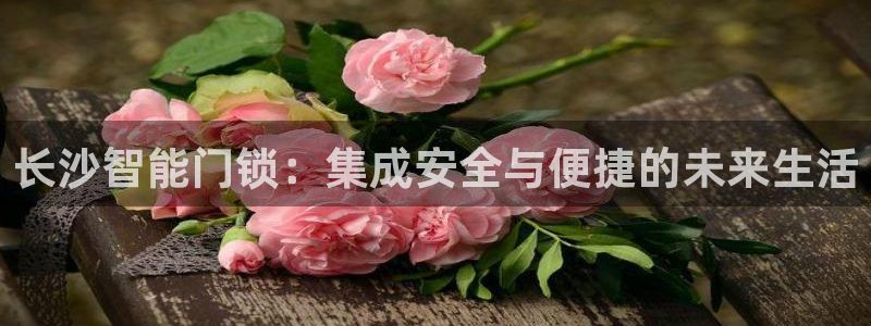 开丰娱乐寸67五壹叁八：长沙智能门锁：集成安全与便捷的未来生