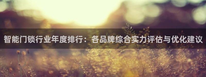 开丰娱乐app：智能门锁行业年度排行：各品牌综合实力评估与优