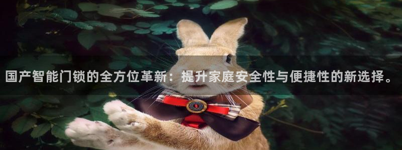 开丰娱乐登入：国产智能门锁的全方位革新：提升家庭安全性与便捷