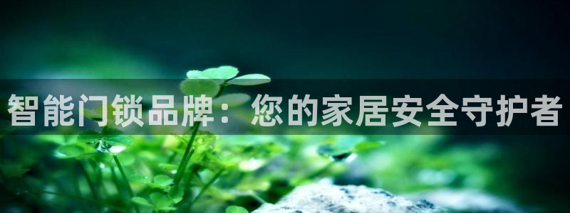 开丰娱乐左：智能门锁品牌：您的家居安全守护者