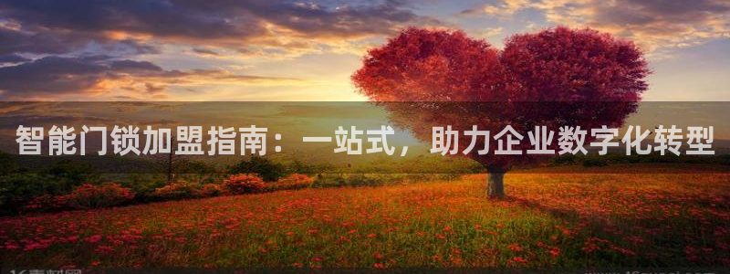下载开丰娱乐：智能门锁加盟指南：一站式，助力企业数字化转型
