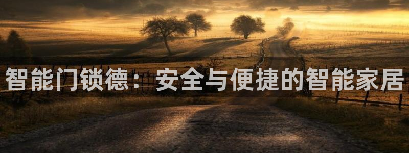 开丰娱乐更多平台：智能门锁德：安全与便捷的智能家居