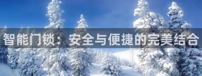 开丰娱乐登陆地址：智能门锁：安全与便捷的完美结合