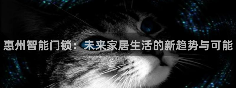 开丰娱乐寸六七五一38：惠州智能门锁：未来家居生活的新趋势与
