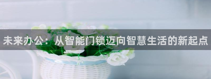 开丰娱乐网站官网下载：未来办公：从智能门锁迈向智慧生活的新起