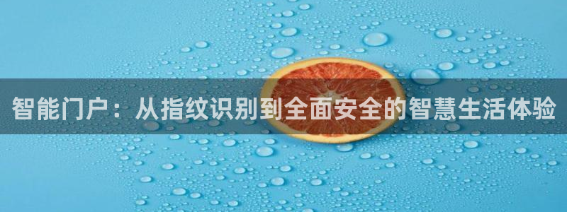 开丰娱乐平台注册：智能门户：从指纹识别到全面安全的智慧生活体