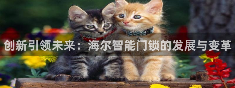 开丰娱乐与六七五一38：创新引领未来：海尔智能门锁的发展与变