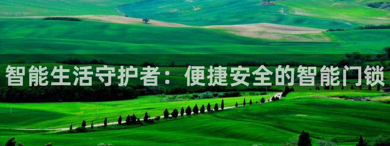 开丰娱乐月7O667：智能生活守护者：便捷安全的智能门锁