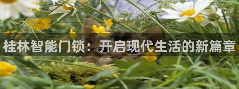 开丰娱乐平台注册：桂林智能门锁：开启现代生活的新篇章
