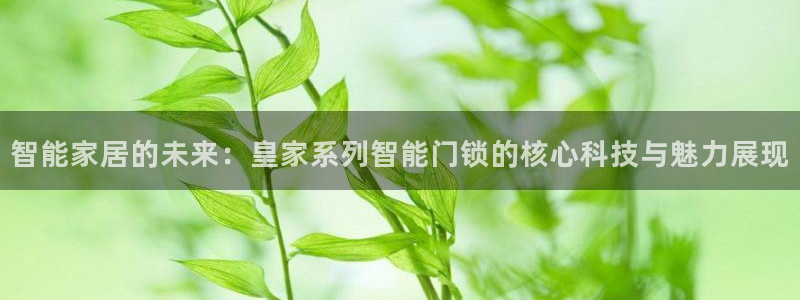 开丰娱乐平台登录网址：智能家居的未来：皇家系列智能门锁的核心
