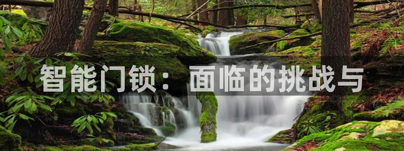 圩丰刚开的娱乐场所：智能门锁：面临的挑战与