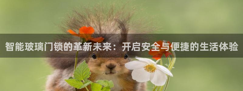 圩丰刚开的娱乐场所：智能玻璃门锁的革新未来：开启安全与便捷的