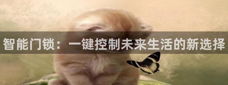 开丰娱乐登入地址在哪儿