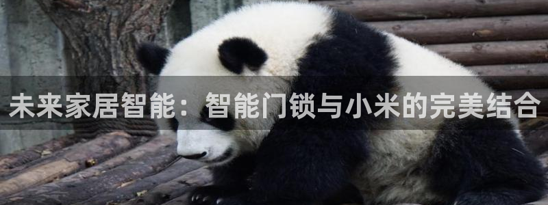 开丰娱乐乙833_43：未来家居智能：智能门锁与小米的完美结