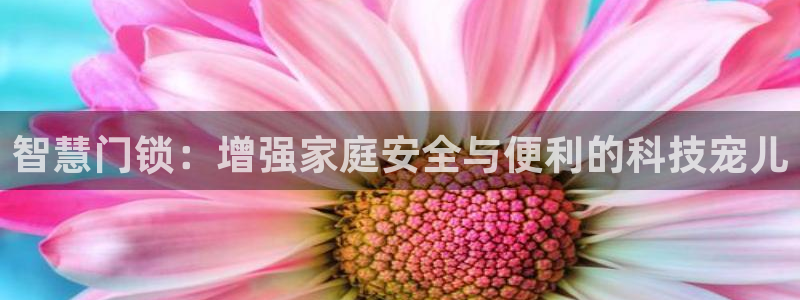 开丰娱乐日7O667：智慧门锁：增强家庭安全与便利的科技宠儿