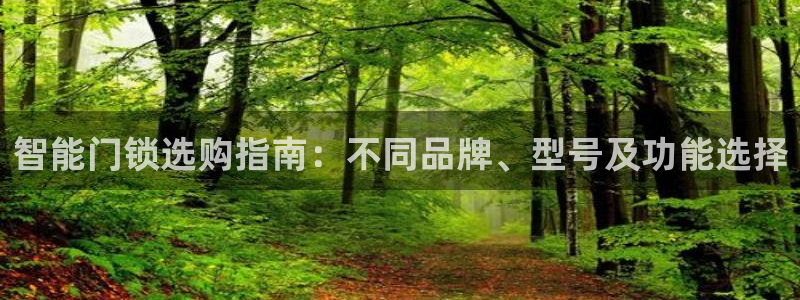 开丰娱乐优七九九47：智能门锁选购指南：不同品牌、型号及功能