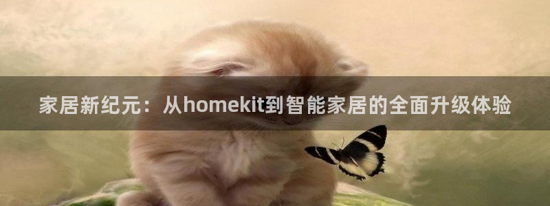 开丰娱乐日：家居新纪元：从homekit到智能家居的全面升级