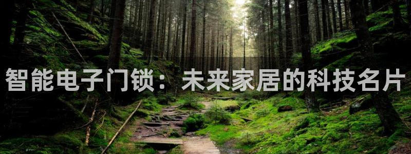 开丰娱乐登录平台：智能电子门锁：未来家居的科技名片