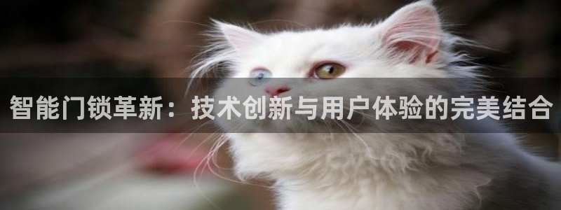 开丰娱乐线路：智能门锁革新：技术创新与用户体验的完美结合