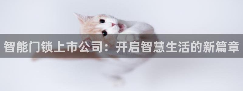 开丰娱乐官方app：智能门锁上市公司：开启智慧生活的新篇章