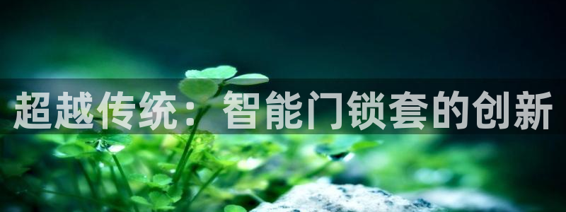 开丰娱乐网址：超越传统：智能门锁套的创新